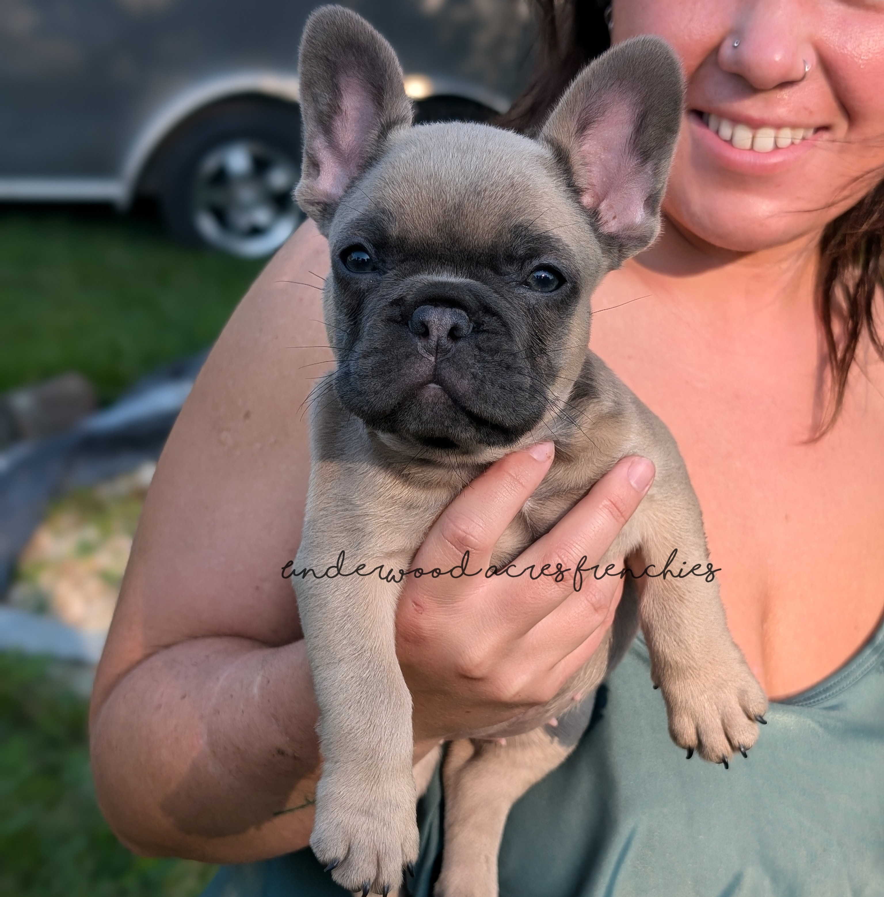 A close-up of a woman holding a light-colored French Bulldog puppy outdoors.